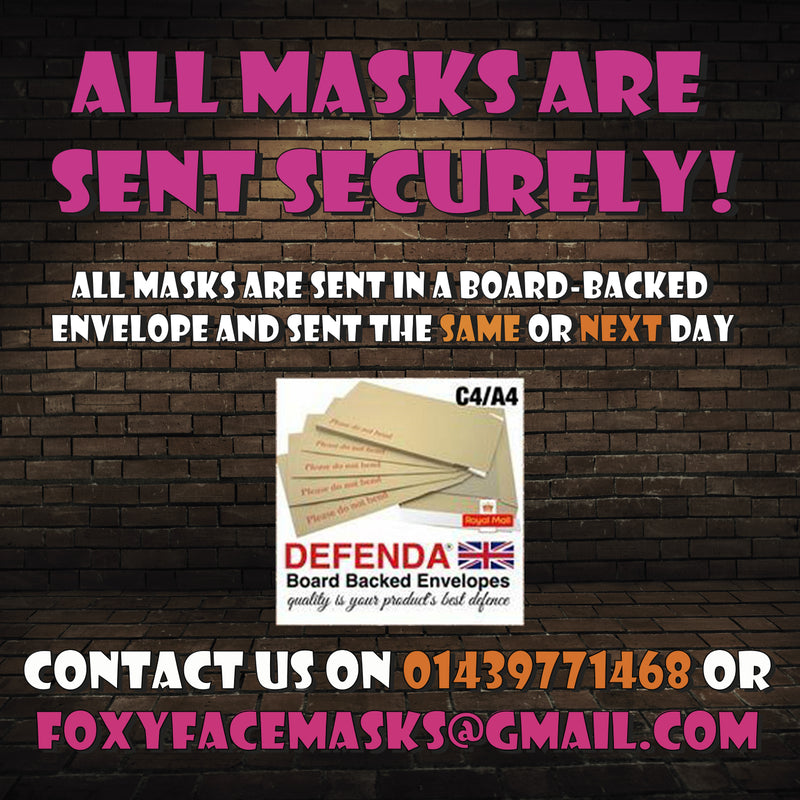 David Walliams Comedian Celebrity Facemask Fancy Dress Cardboard Costume Mask