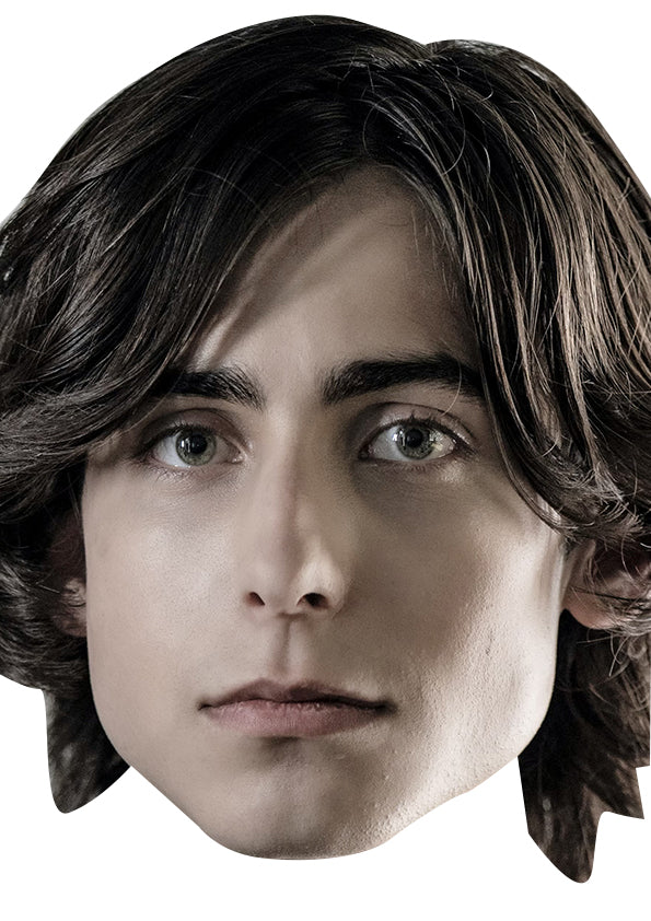 Aidan Gallagher Celebrity Face Mask Fancy Dress Cardboard Costume Mask β Aidan Gallagher Face Mask