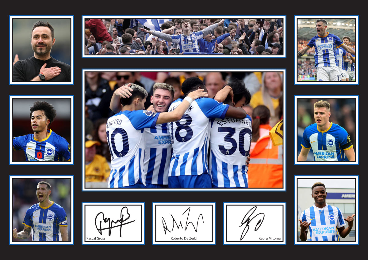 Brighton & Hove Albion Premier League Football Team Framed Printed Signature Print – Fan Gift – Brighton & Hove Albion Premier League Football Team Framed Printed Signature – A4 Poster