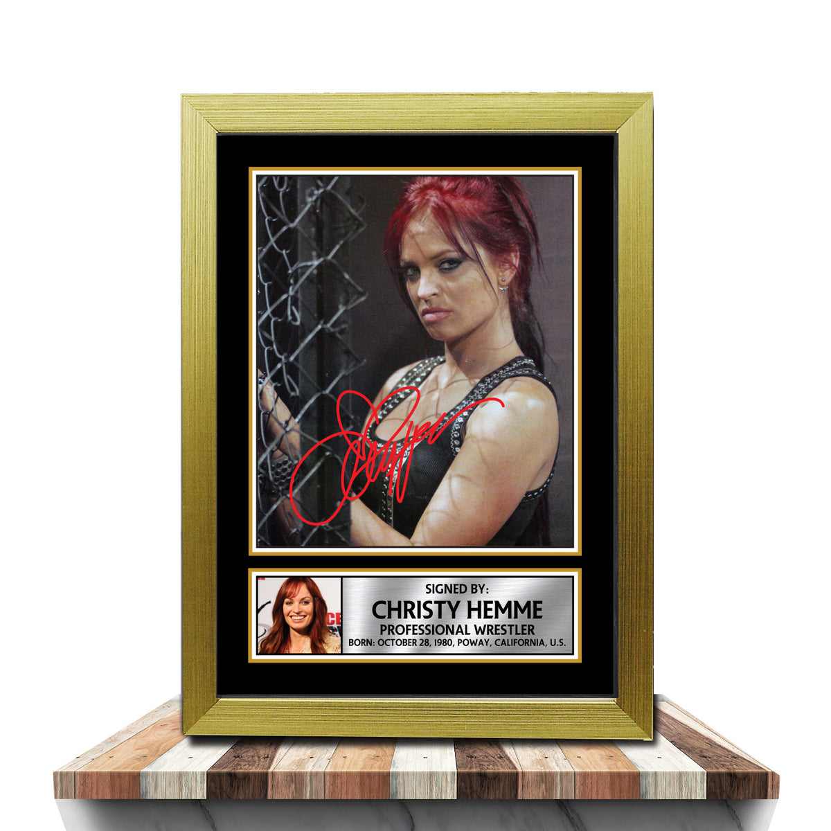 Christy Hemme M981 Wrestling Printed Signature Poster Print Gift