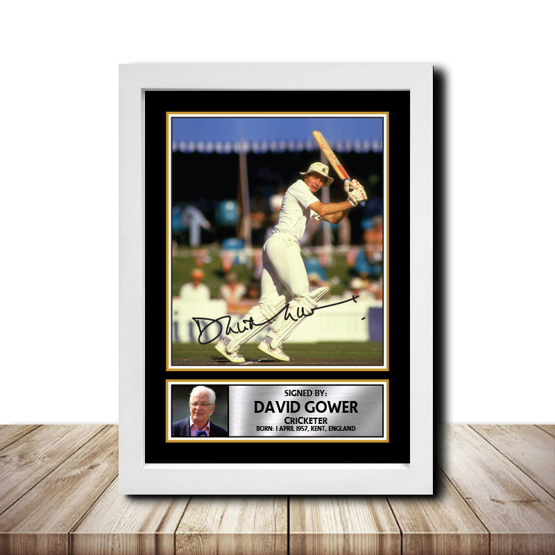 David Gower M1527 Cricketer Printed Signature Poster Print Gift