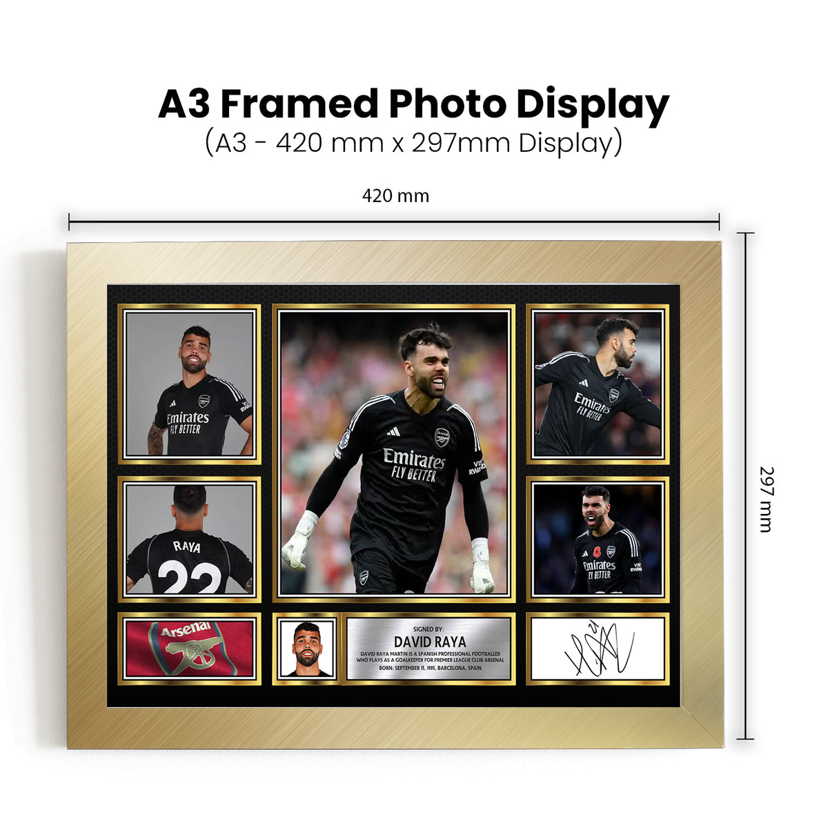 David Raya Printed Signature Football Poster Print