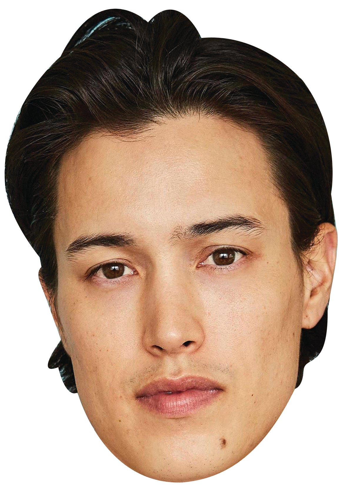 Derek Luh Celebrity Face Mask Fancy Dress Cardboard Costume Mask