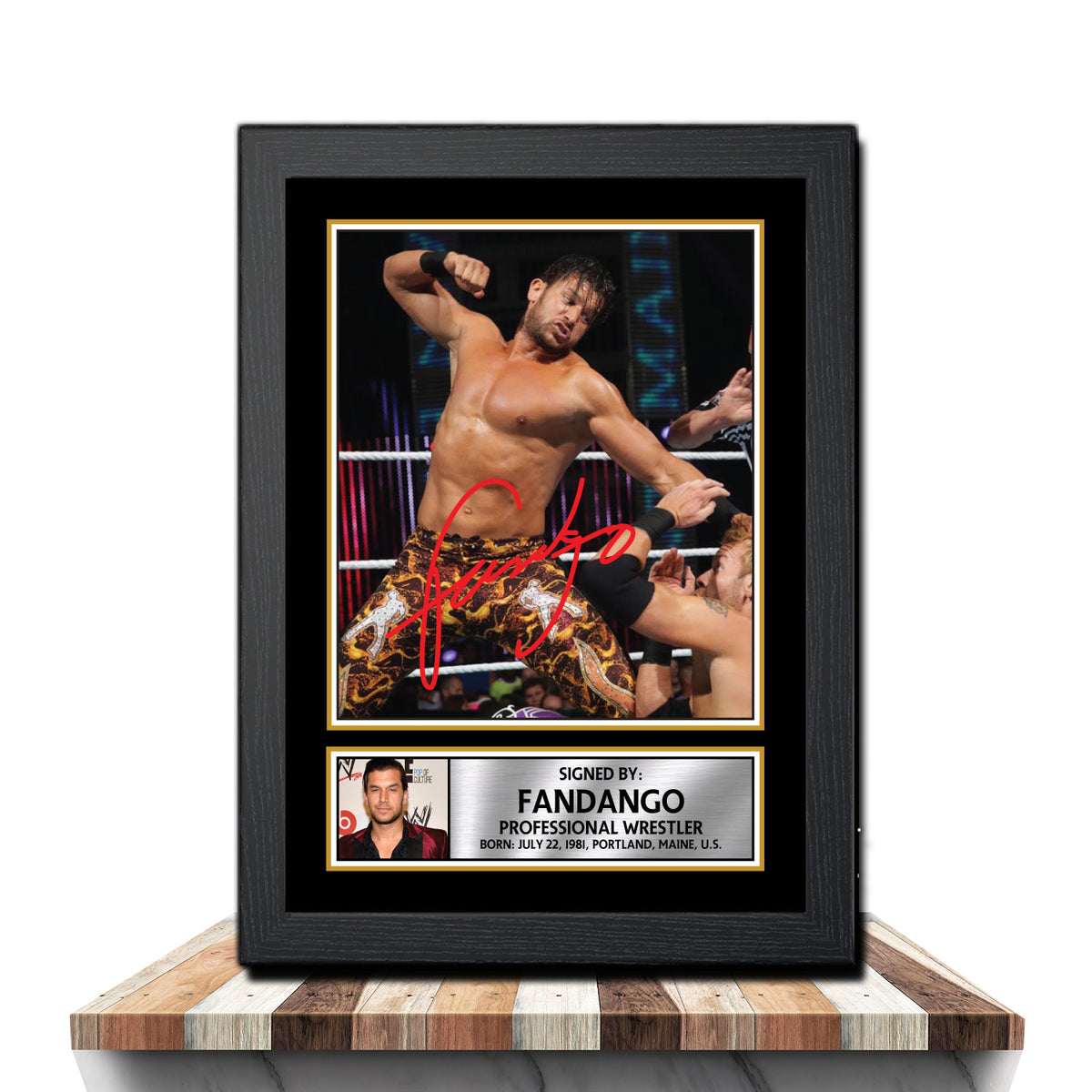 Fandango M1004 Wrestling Printed Signature Poster Print Gift