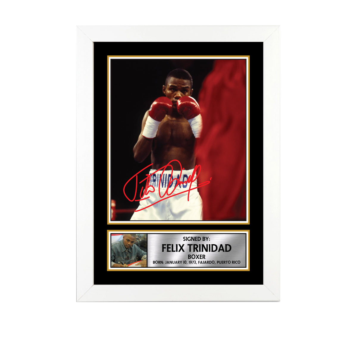 Felix Trinidad M694 Boxing Printed Signature Poster Print Gift