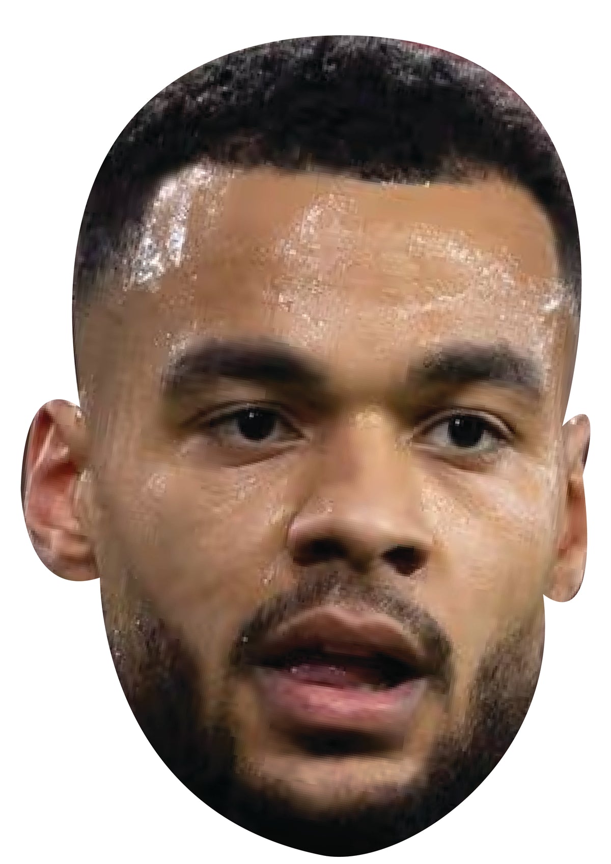Cody Gakpo Face Mask