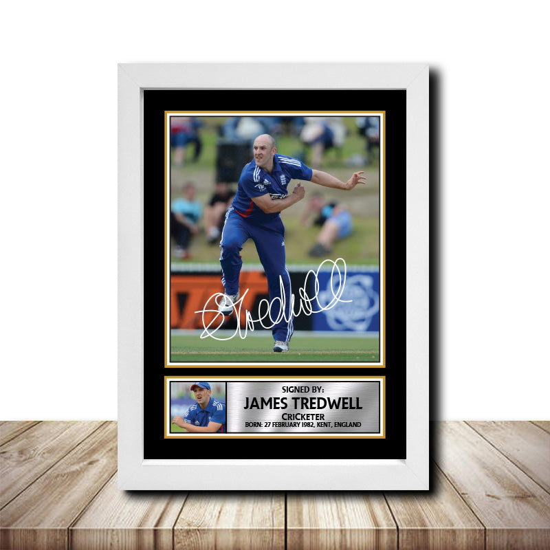 James Tredwell M1621 Cricketer Printed Signature Poster Print Gift