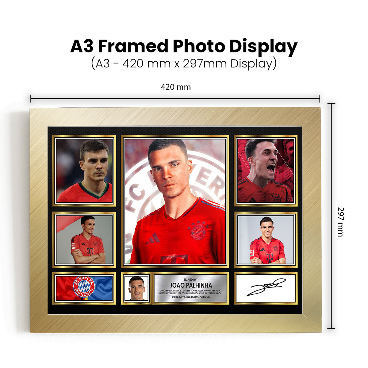 Joao Palhinha Printed Signature Football Poster Print
