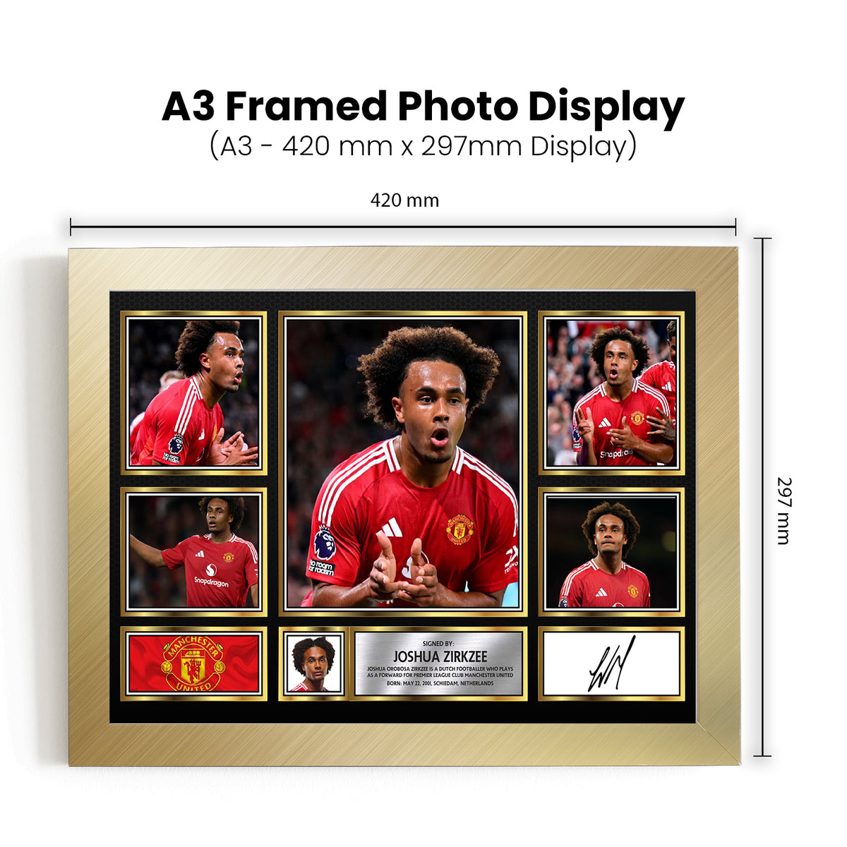 Joshua Zirkzee Printed Signature Football Poster Print
