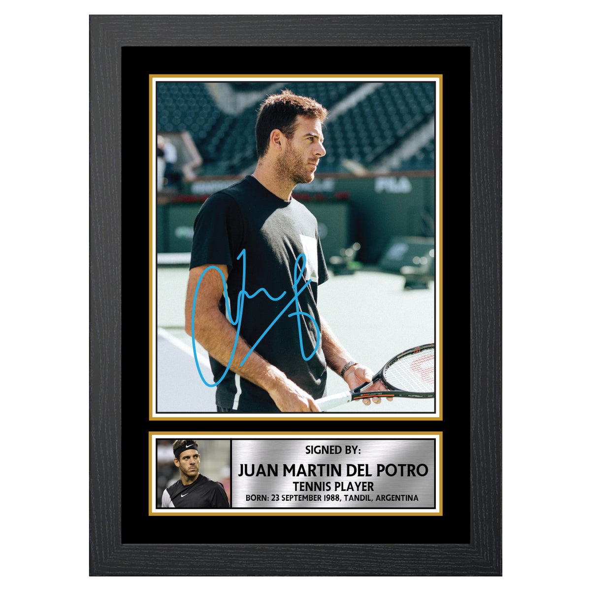 Juan Martín del Potro M584 Tennis Player Printed Signature Poster Print Gift