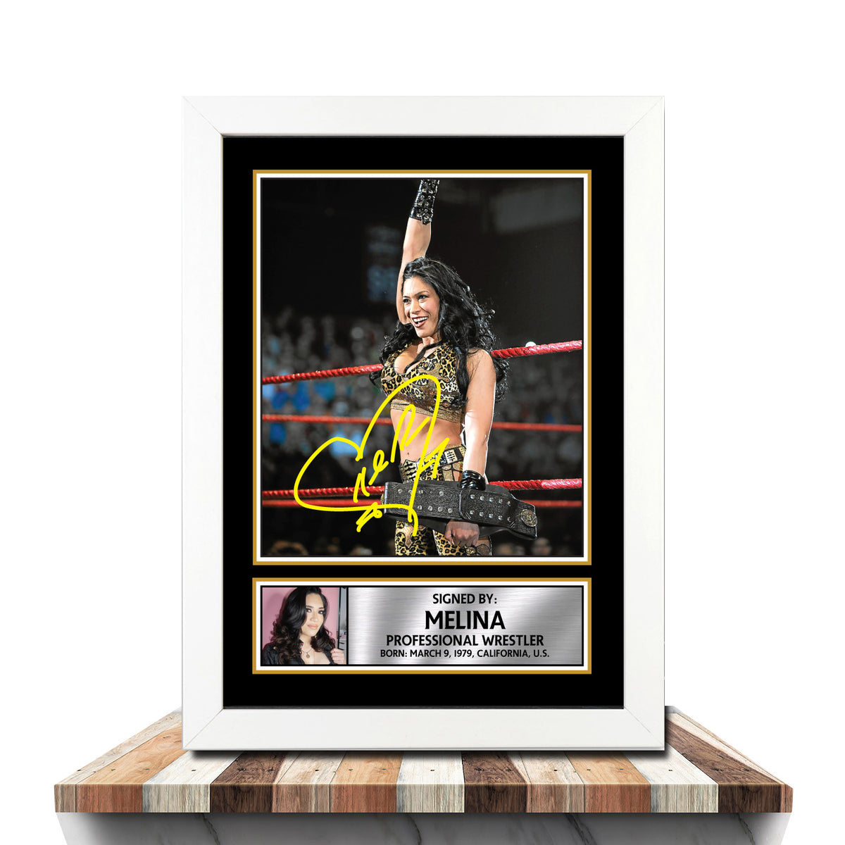 Melina M1041 Wrestling Printed Signature Poster Print Gift