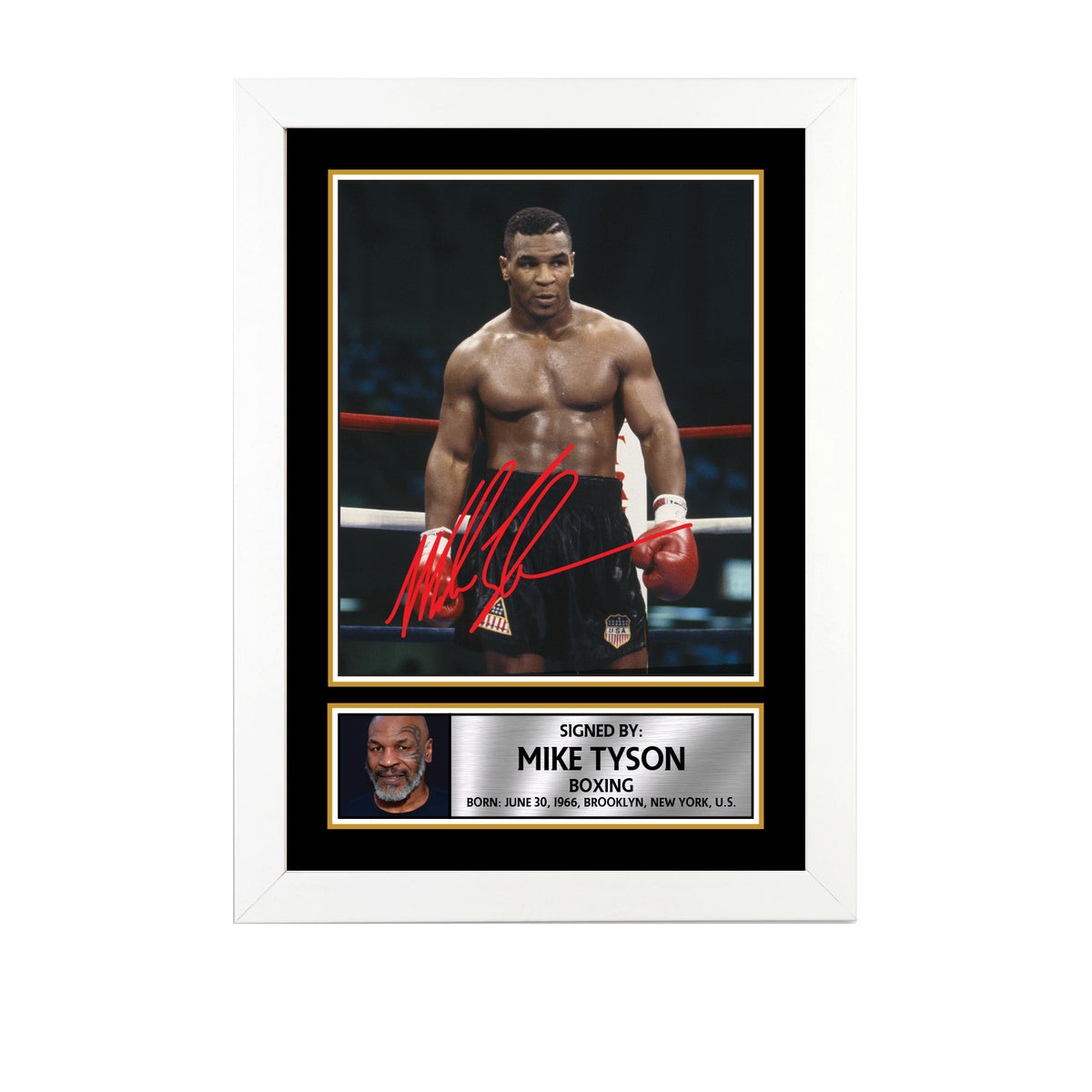 Mike Tyson M758 Boxing Printed Signature Poster Print Gift