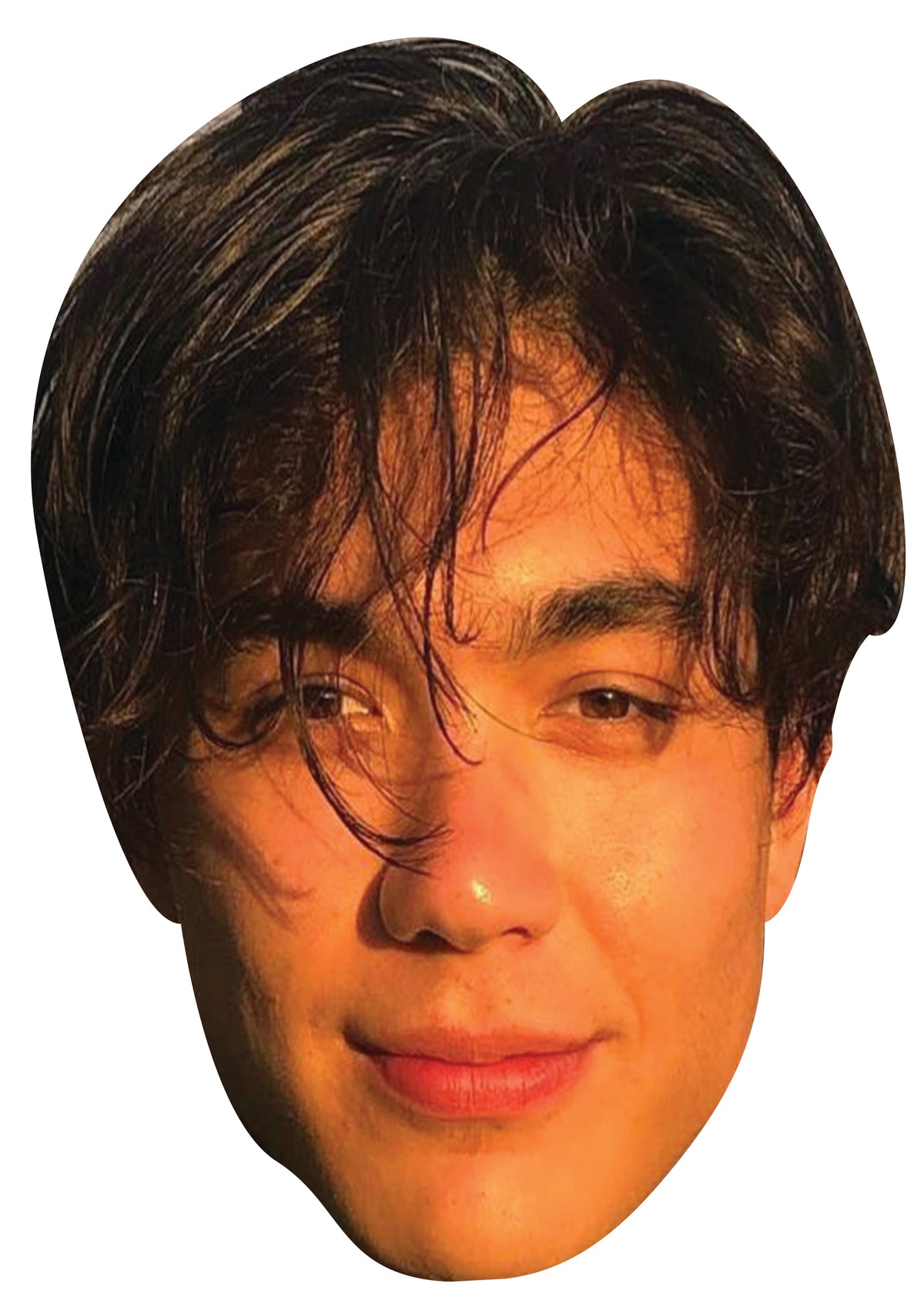 Will Gao Face Mask β Fancy Dress Cardboard Costume Mask β Will Gao Face Mask