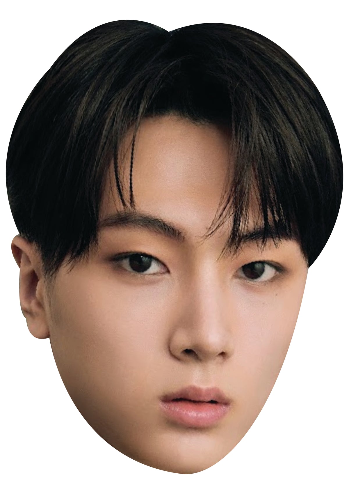 Jay Face Mask β Fancy Dress Cardboard Costume Mask β Jay Face Mask