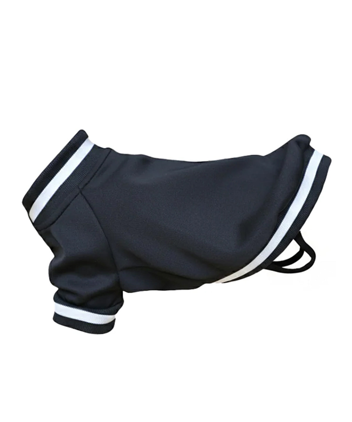 Personalised dog varsity jacket plain product shot on white background
