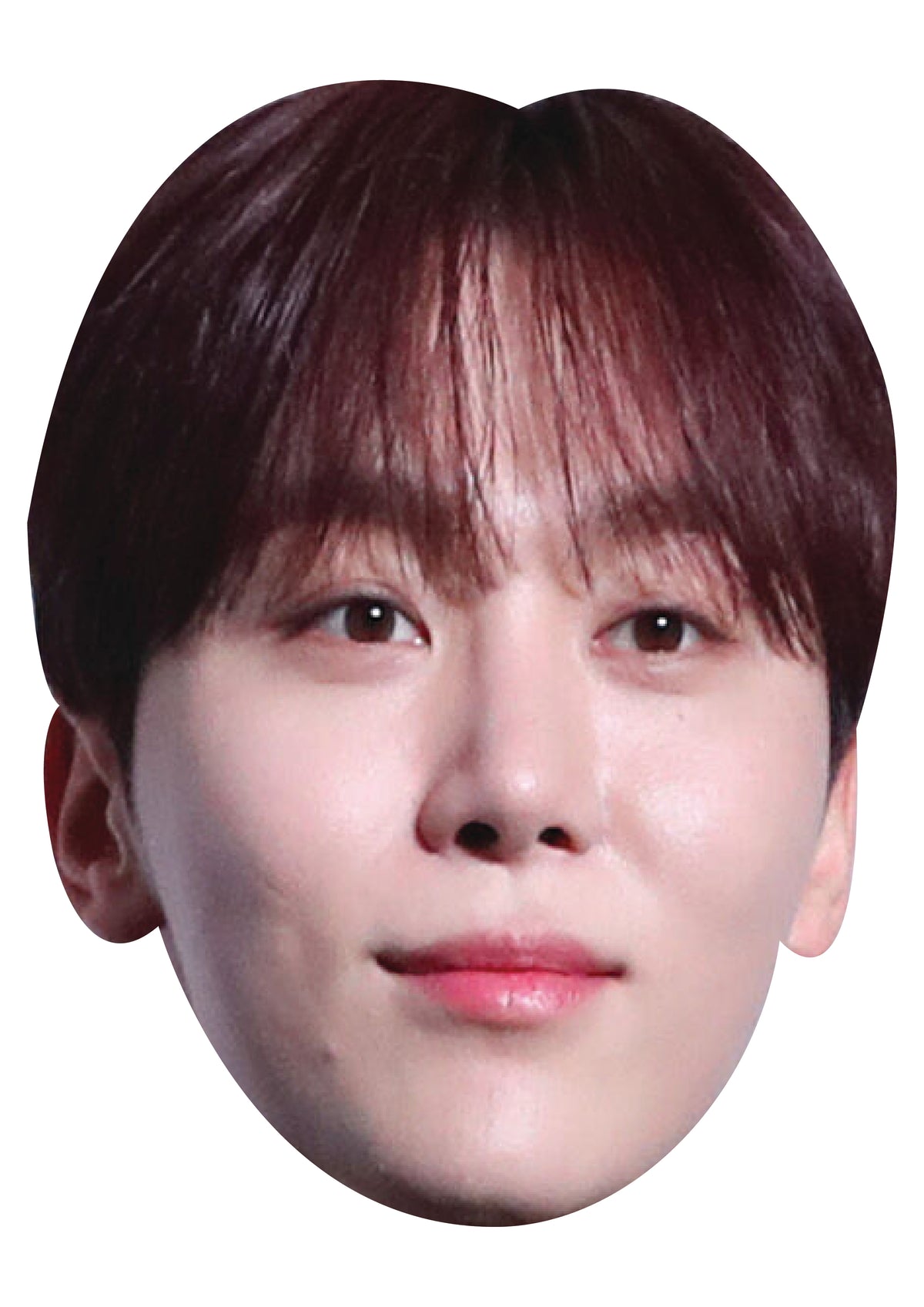 Seungkwan Face Mask – Fancy Dress Cardboard Costume Mask – Seungkwan Face Mask