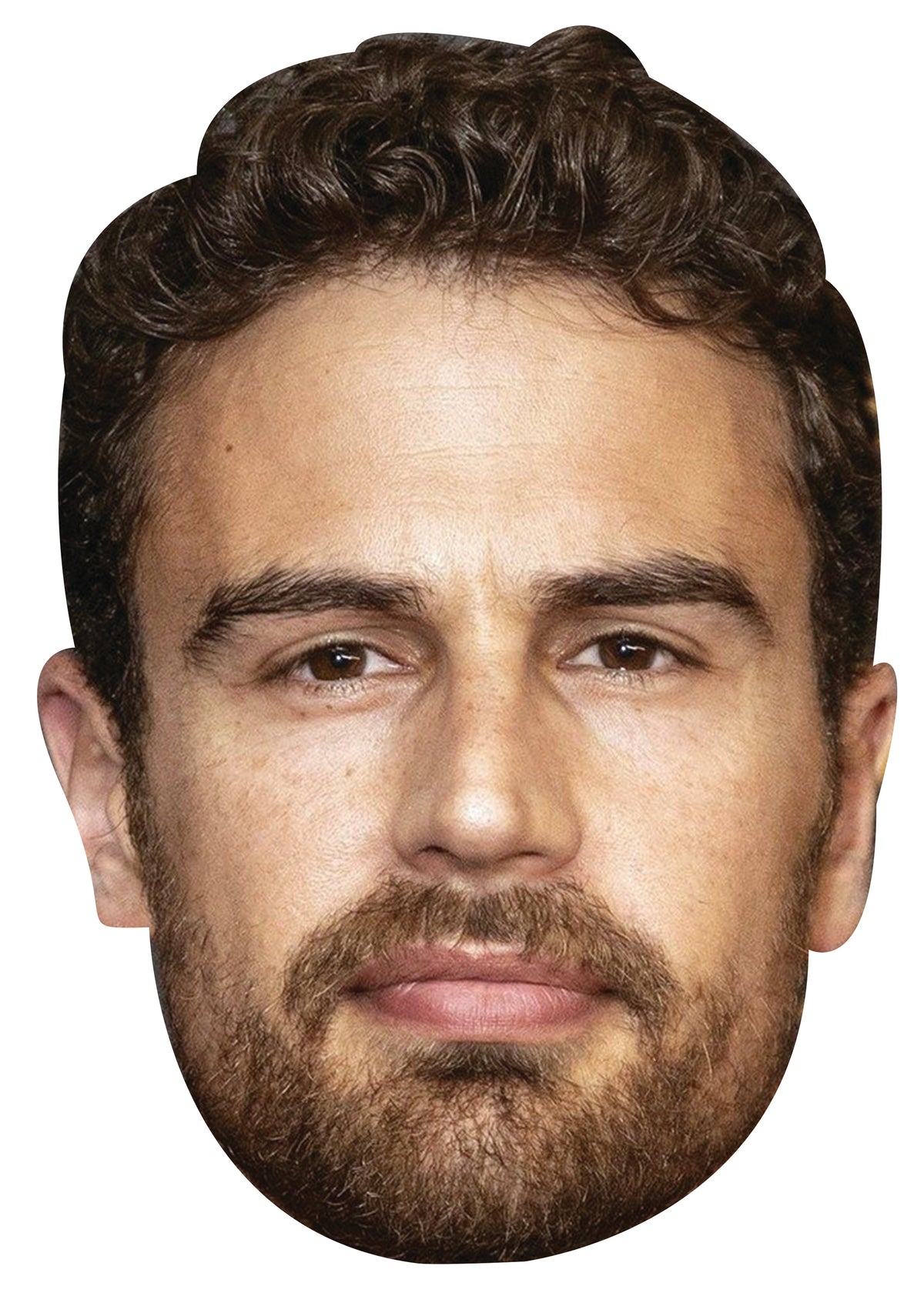 Theo James Face Mask β Fancy Dress Cardboard Costume Mask β Theo James Face Mask