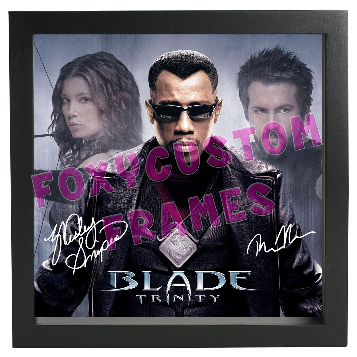 Blade Trilogy Signed Lego Display Case - Minifigure Display Background and Frames β Blade Trilogy Printed Signature Lego Display Case - Minifigure Display