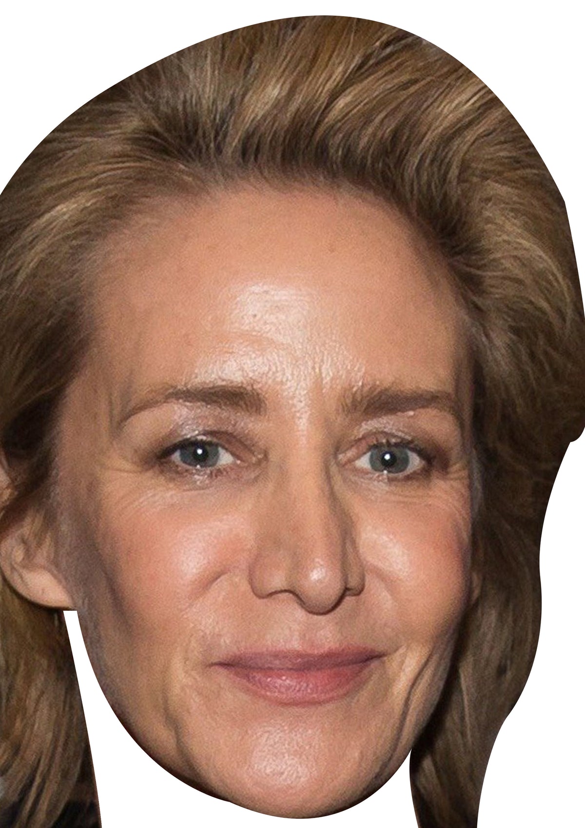 Janet McTeer 2020 Dress Cardboard Celebrity Party Face Mask β Janet McTeer 2020 Dress Party Face Mask