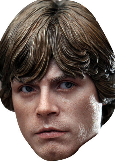 Luke Skywalker Face Mask β Fancy Dress Cardboard Costume Mask β Luke Skywalker Face Mask