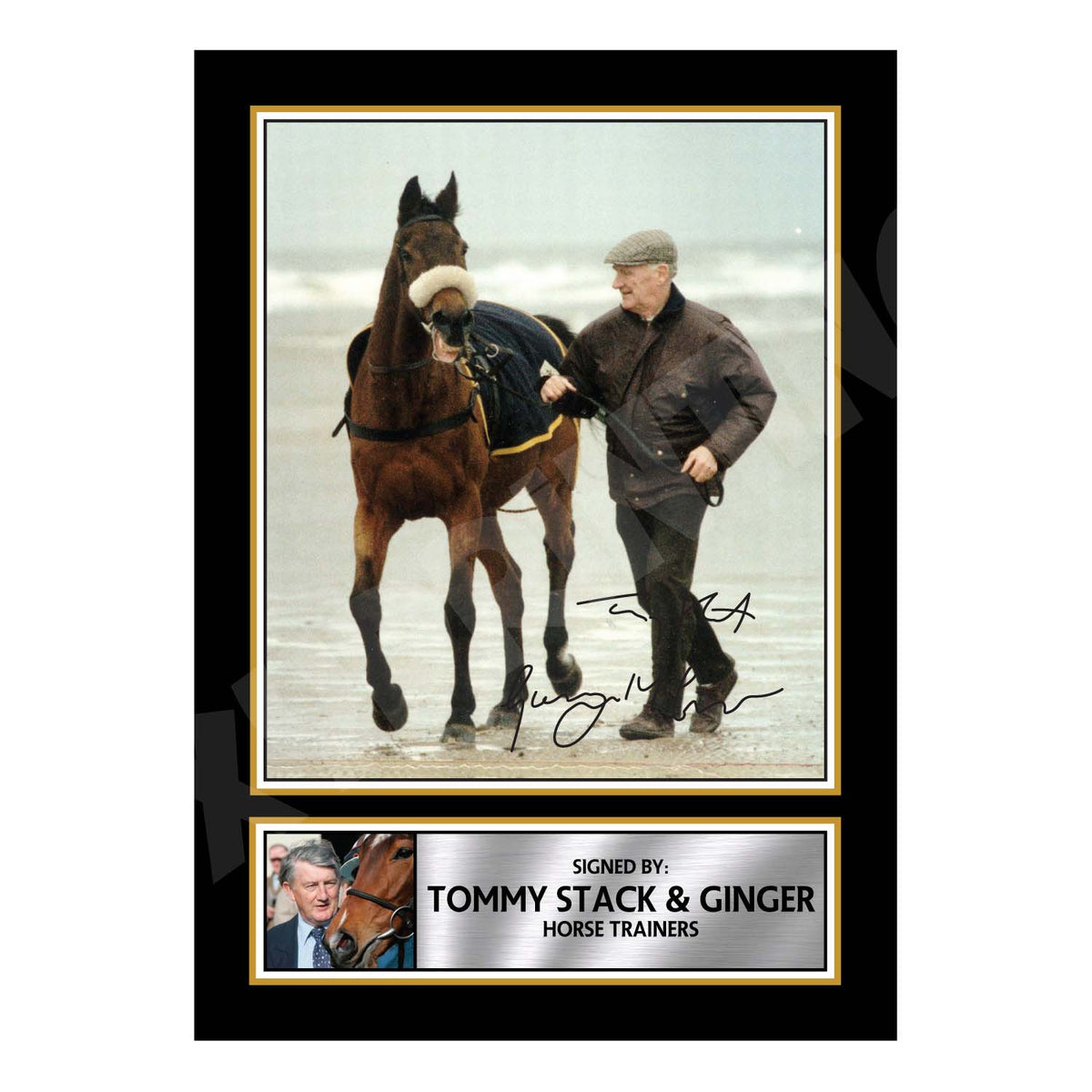 TOMMY STACK _ GINGER Horse Racer Printed Signature Print – Horse Racing – Tommy Stack _ Ginger Horse Racer Printed Signature Print – A1 Print Only