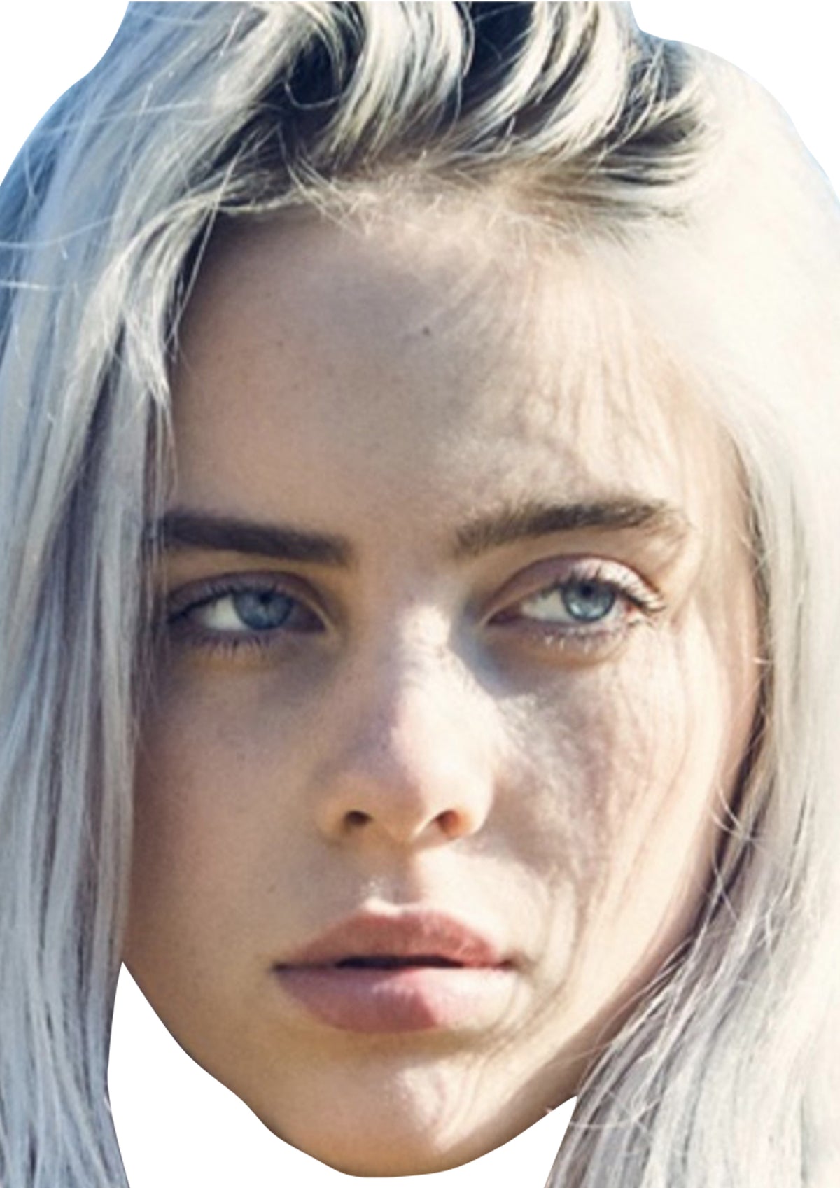 Billie Eilish 2020 Music Dress Cardboard Celebrity Party Face Mask