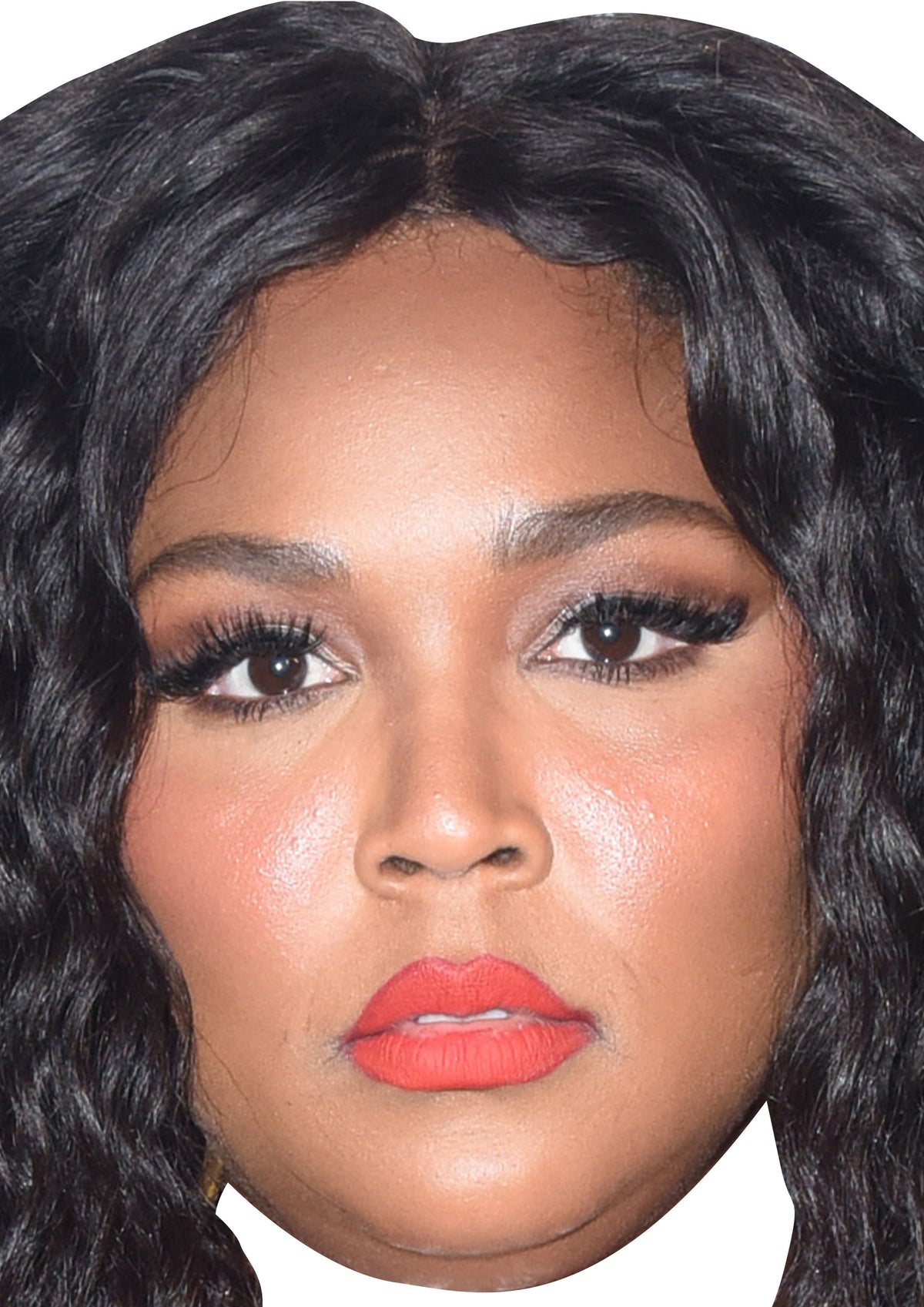 Lizzo Face Mask β Fancy Dress Cardboard Costume Mask β Lizzo Face Mask