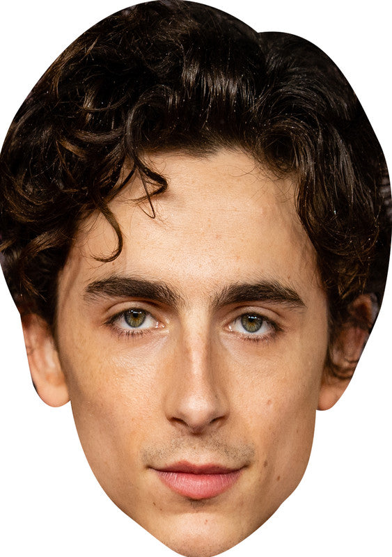 Timothee Chalamet Golden Globes 2025 Celebrity Face Masks - Hollywood-Themed Fancy Dress Party Accessories