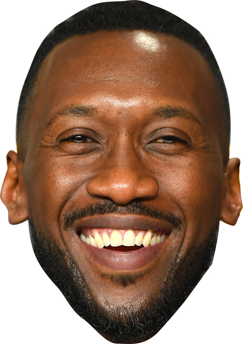 Mahershala Ali Film Character 2024 Celebrity Cardboard Face Mask