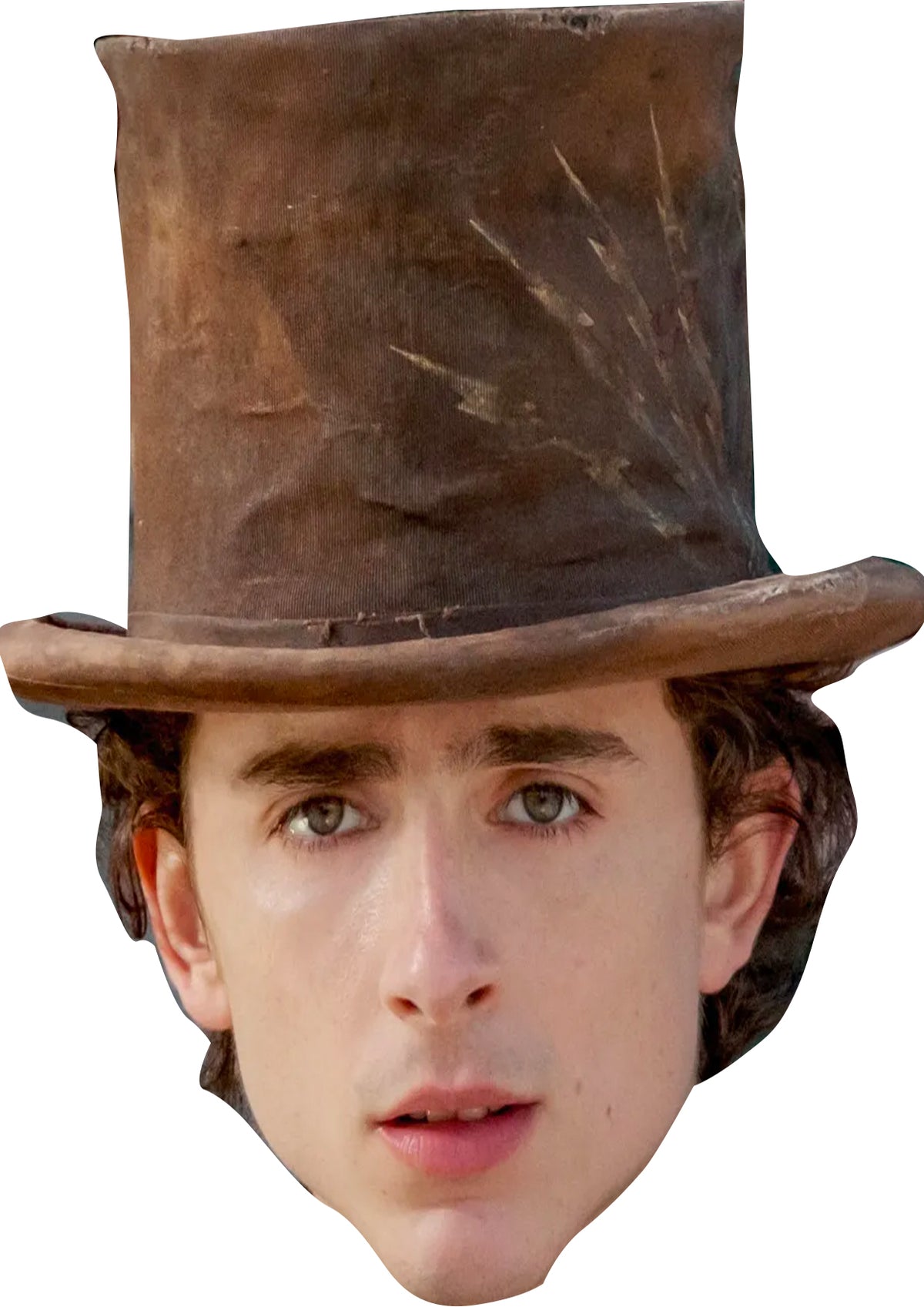 Timothée Chalamet Wonka 2024 Celebrity Cardboard Face Mask – Timothée Chalamet Wonka 2024 Face Mask