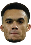Antonee Robinson Face Mask – USA Football Player Card Face Mask, Soccer Fan Party Accessory, Sports Fancy Dress Prop, Football Supporter Gift