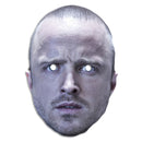Aaron Paul - Jesse Pinkman 2 - Breaking Bad Celebrity Face Mask Fancy Dress Cardboard Costume Mask