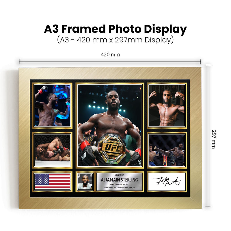 Aljamain Sterling UFC FIighters Framed Autographed Print - Limited Edition Autograph Fan Gift – Collectible Memorabilia Merchandise