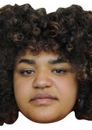 Amber Grappy Celebrity Face Mask Fancy Dress Cardboard Costume Mask