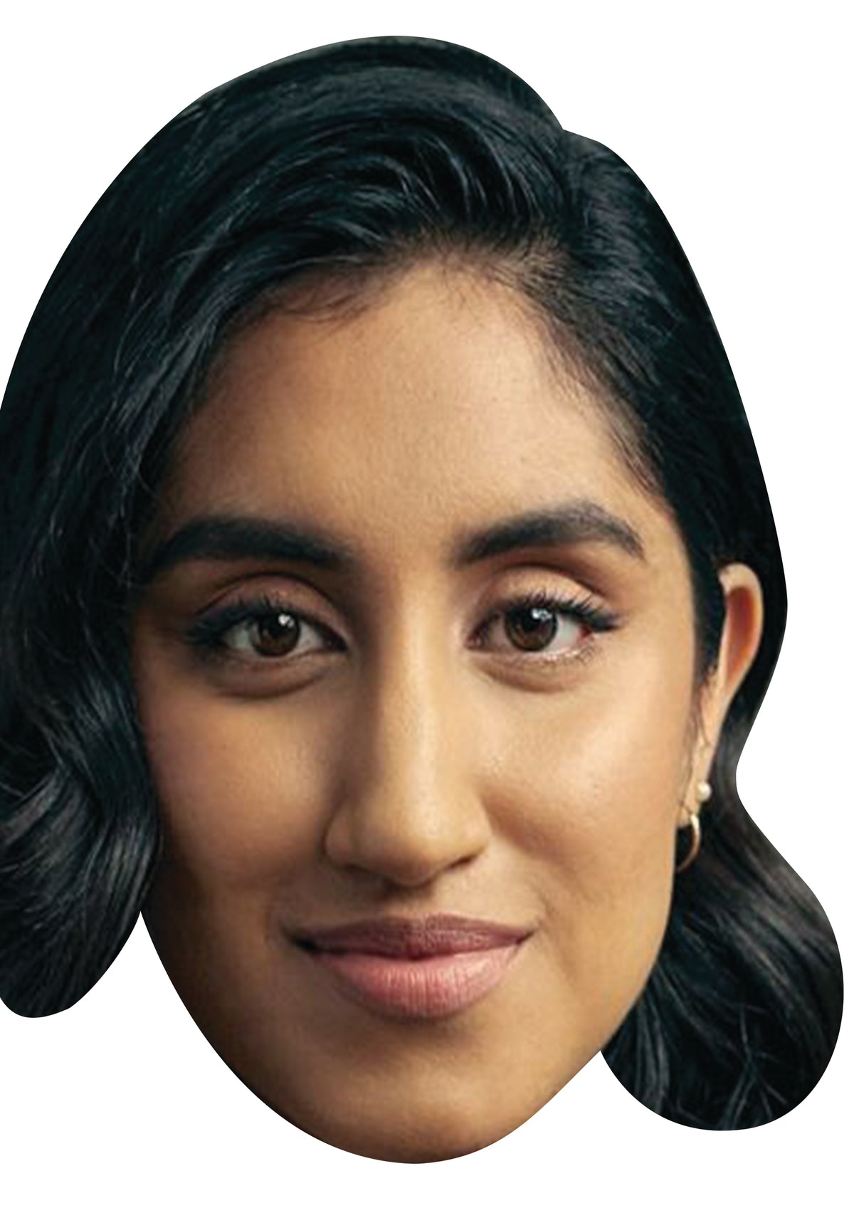 Ambika Mod 2025 Celebrity Face Mask Fancy Dress Cardboard Costume Mask – Ambika Mod 2025 Face Mask