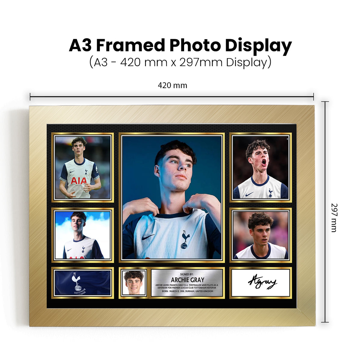 Archie Gray Printed Signature Football Poster Print