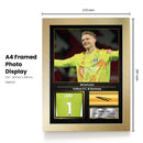 Bernd Leno Printed Signed Poster – Fulham FC & Germany Goalkeeper Tribute Wall Art with Jersey & Bio Plaque – Premier League Football Memorabilia for Fans & Collectors