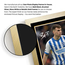 Brajan Gruda Brighton & Hove Albion Poster Print – Signed Autograph Style Football Wall Art   – Framed or Unframed – Gift for Premier League Fans
