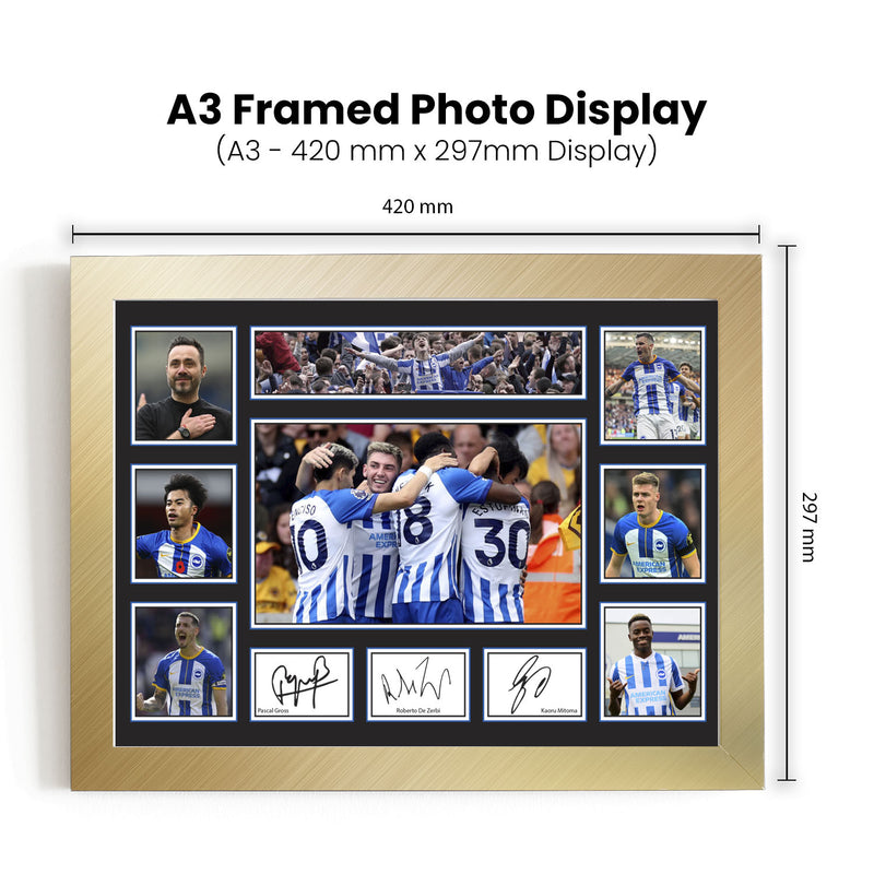 Brighton & Hove Albion Premier League Football Team Framed Autographed Print - Limited Edition Autograph Fan Gift – Collectible Memorabilia Merchandise