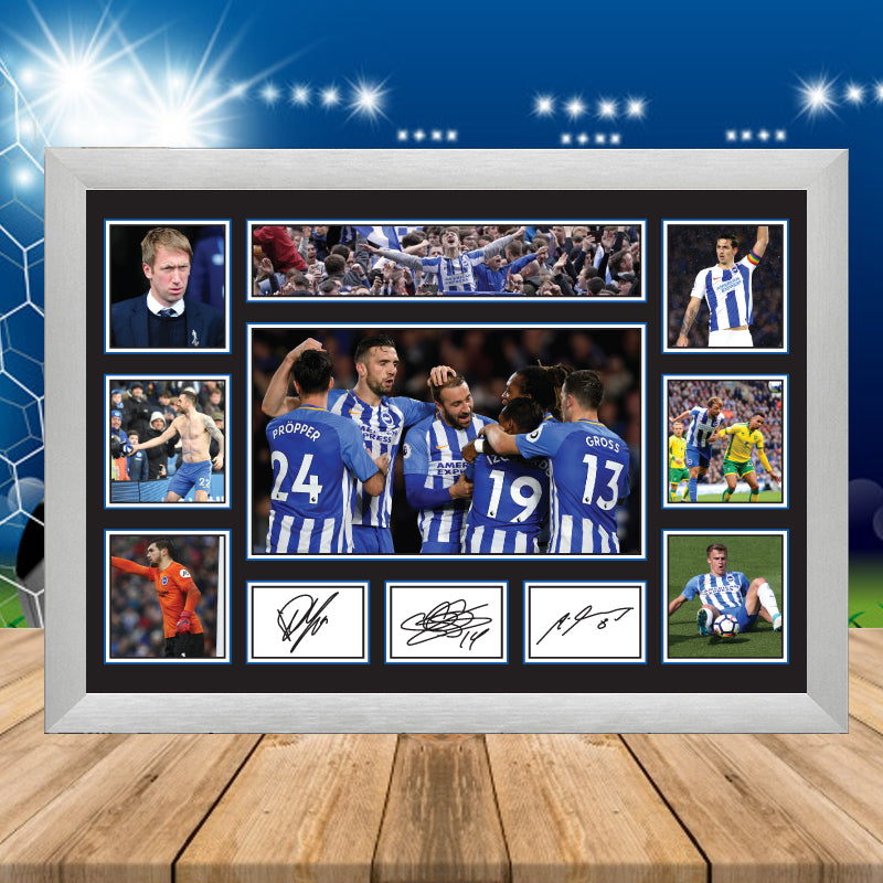 Brighton & Hove Albion Team Player Printed Signature Poster Print Gift