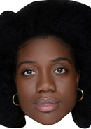 Cash Holland Celebrity Face Mask Fancy Dress Cardboard Costume Mask