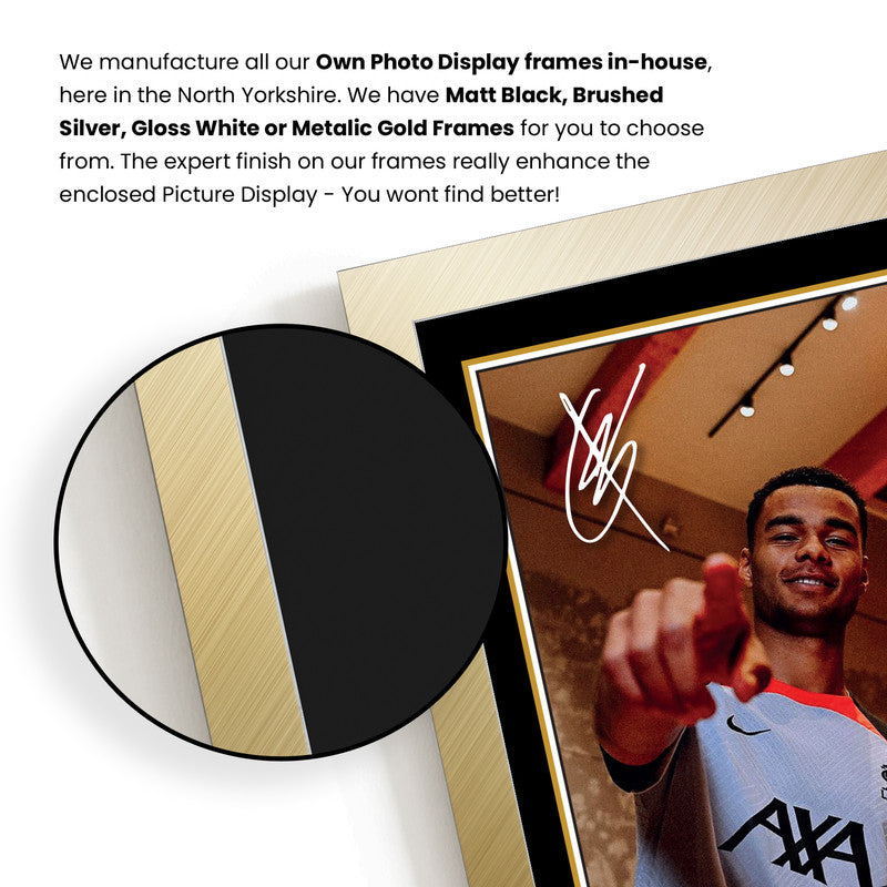 Cody Gakpo Signed Autographed Photo Poster – Liverpool F.C. & Netherlands Football Memorabilia – Collectible Print with Signature & Plaque – Premier League Star Tribute