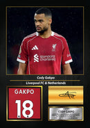Cody Gakpo Printed Signed Poster – Liverpool FC & Netherlands Midfielder Tribute Wall Art with Jersey & Bio Plaque –  Premier League Football Memorabilia for Fans & Collectors