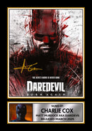 Daredevil Born Again Printed Autograph Poster – Charlie Cox Marvel TV Series Wall Art – Matt Murdock Superhero Collectible Movie Poster Print