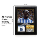 Danny Welbeck Printed Signed Poster – Brighton & Hove Albion FC Striker Tribute Wall Art with Jersey & Bio Plaque – Premier League Football Memorabilia for Fans & Collectors