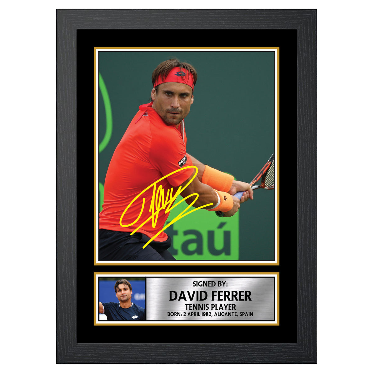 David Ferrer M556 Tennis Player Printed Signature Poster Print Gift