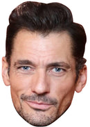 David Gandy Celebrity Face Mask Fancy Dress Cardboard Costume Mask