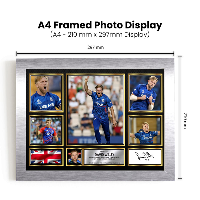 David Willey - Signed Autographed Cricket Star Print