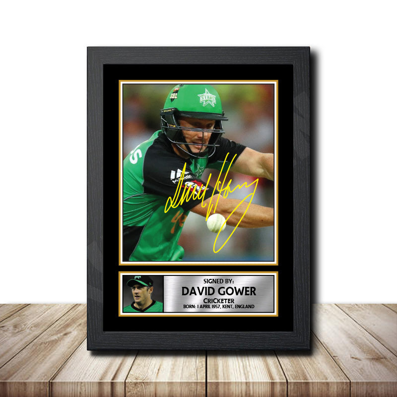 David Hussey M1528 Cricketer Printed Signature Poster Print Gift