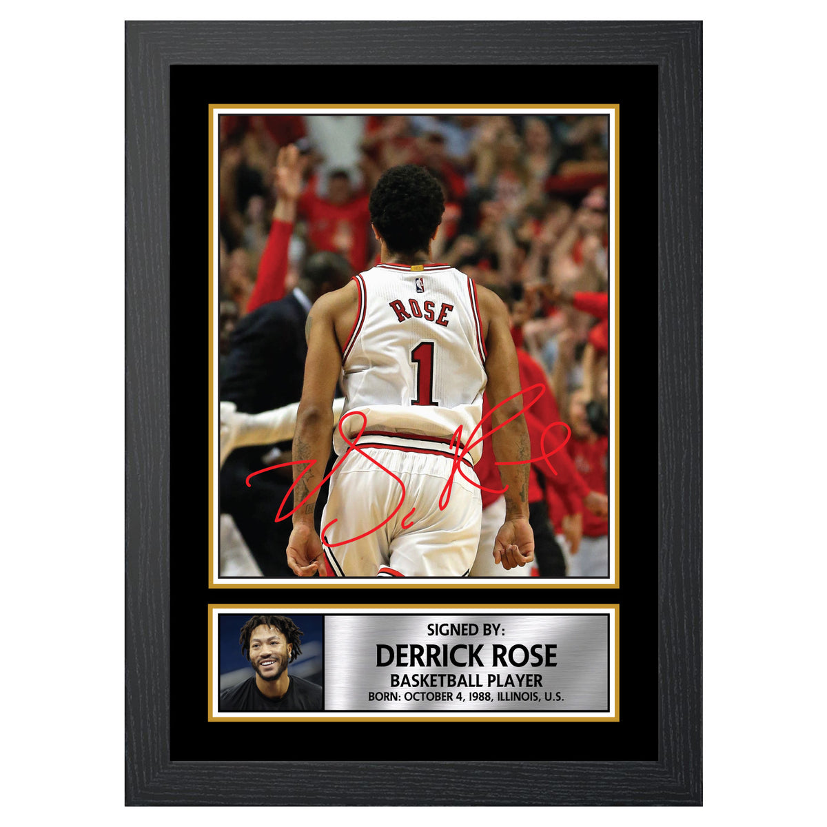 Derrick Rose 2 Basketball Player Printed Signature Poster Print Gift